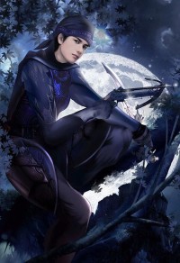 將軍,請自重