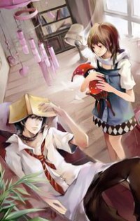 情满四合院之何雨柱